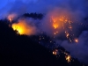 o_Forest Fires Flirck